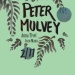 2-11 Peter Mulvey Poster